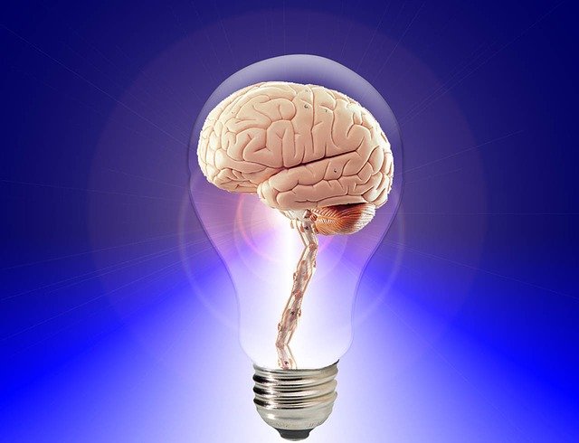 Being in two minds is a good thing!