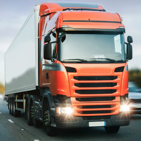 LDP Transport website on desktop