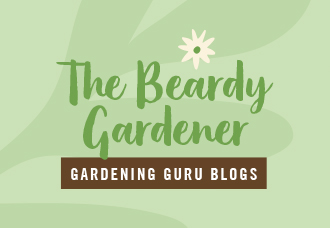 How to Grow Herbs