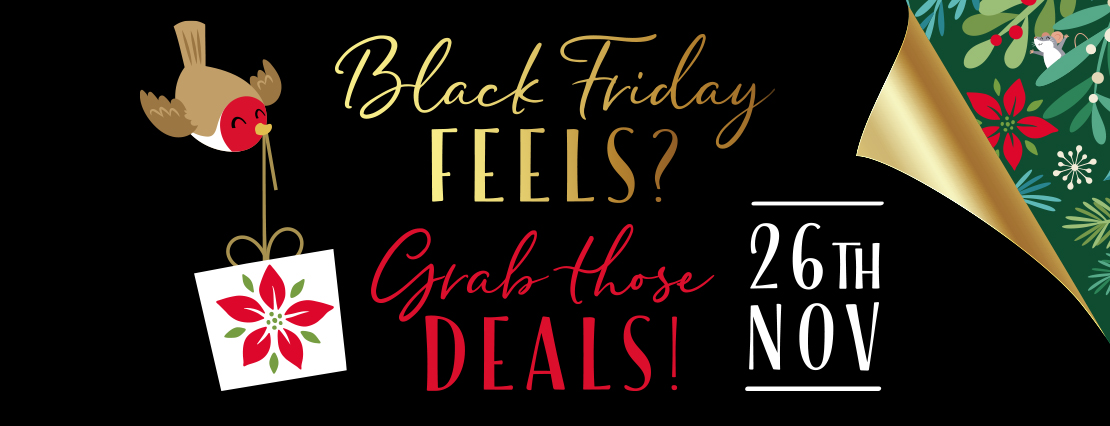 Black Friday at Festival Place