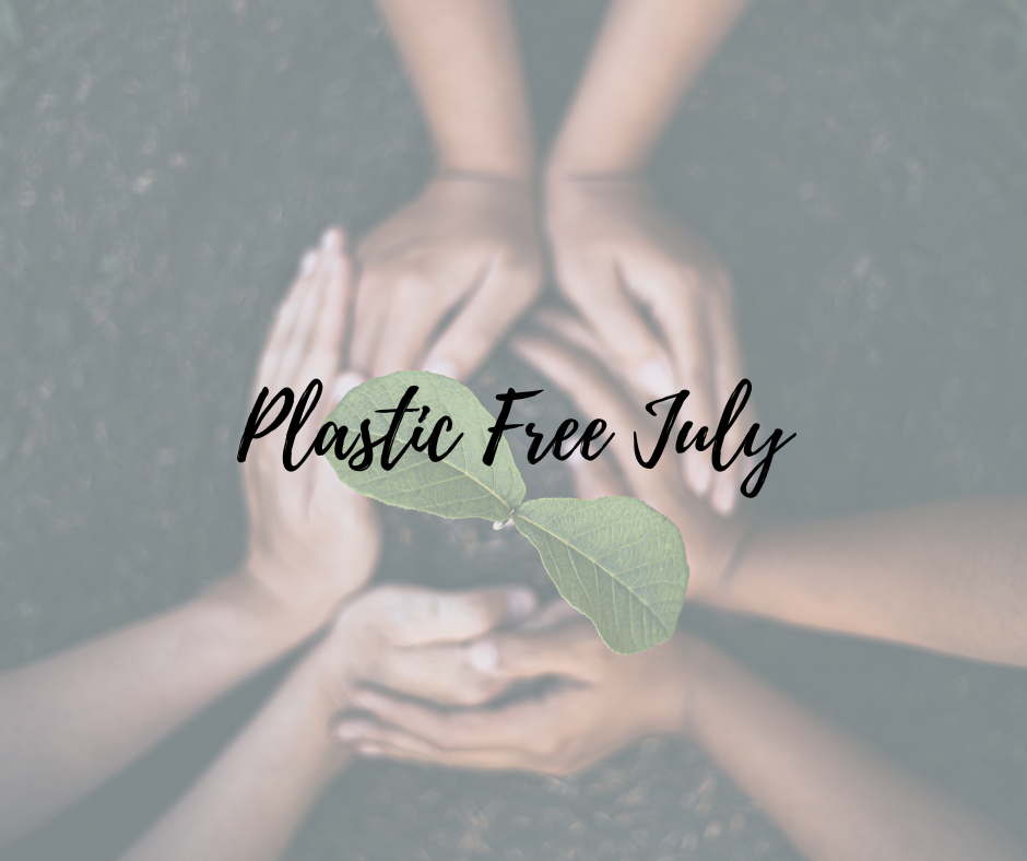  How to purge the plastics in Plastic-Free July and beyond