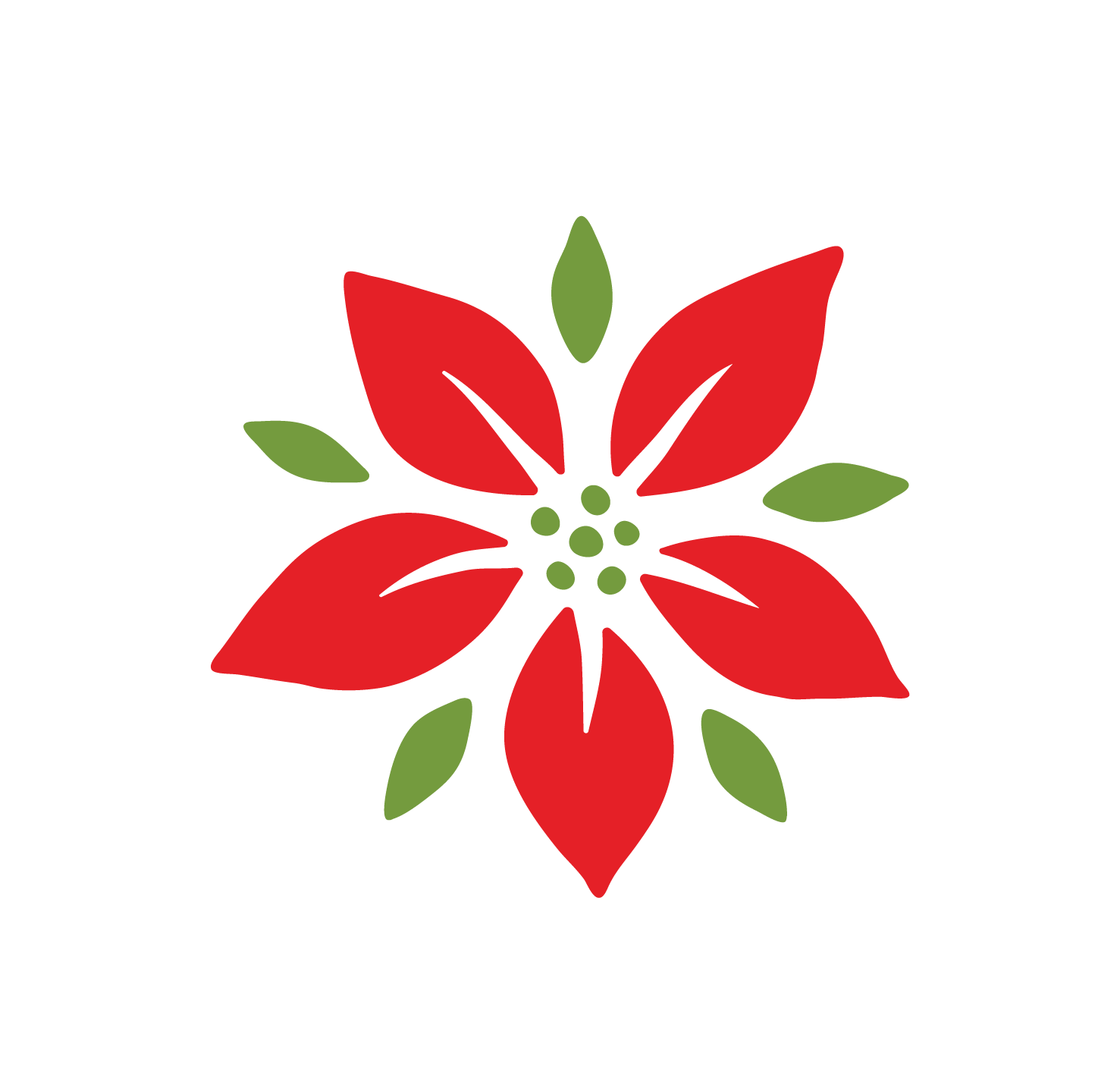 Poinsettia