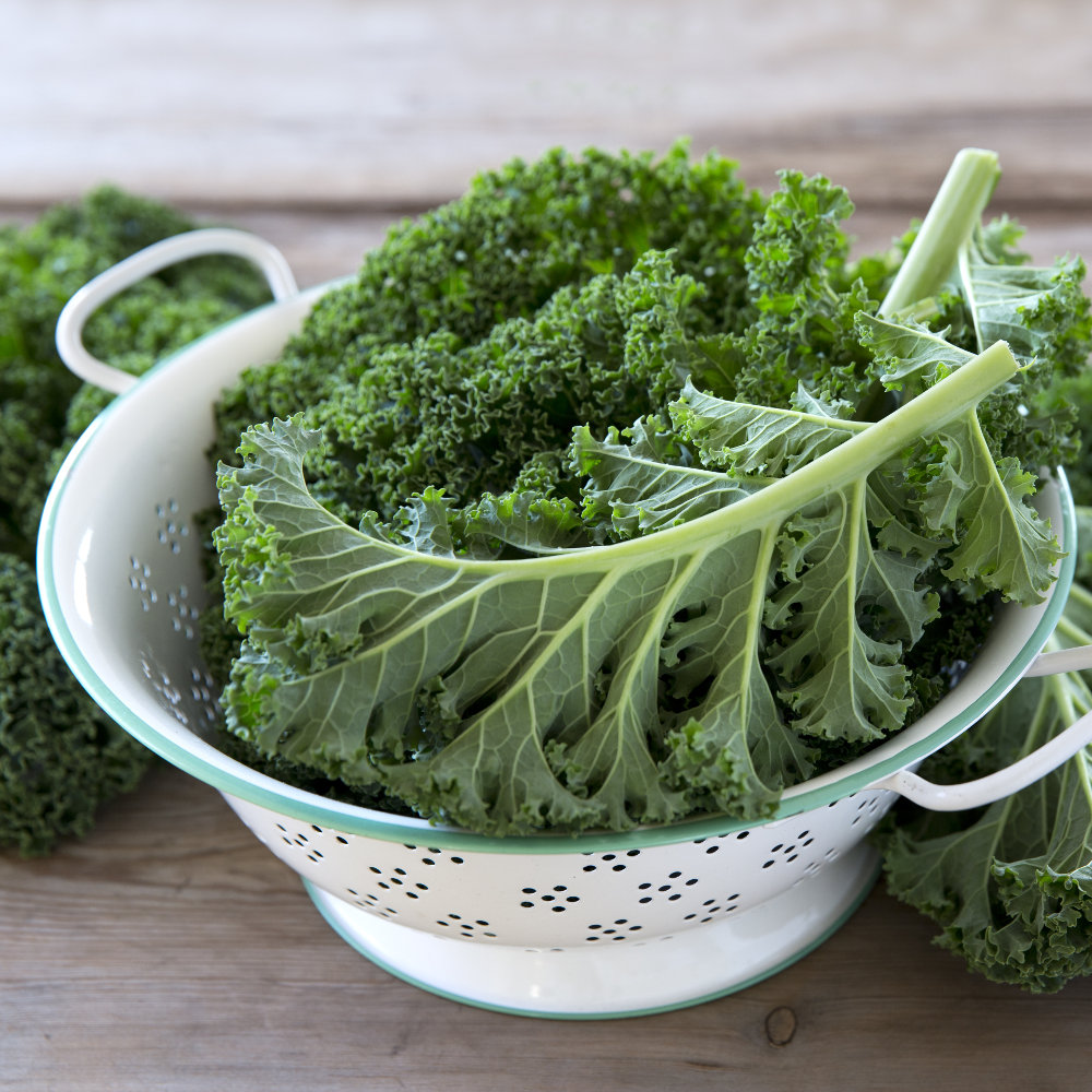 Kale vegetable