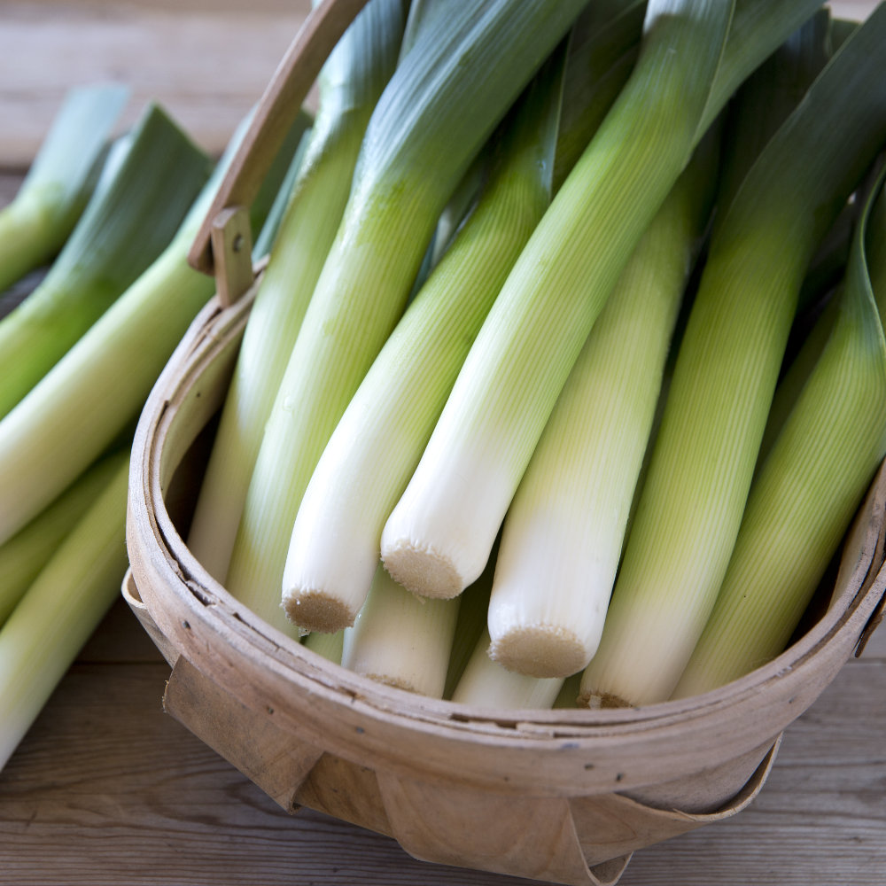 Our Veg | Leeks