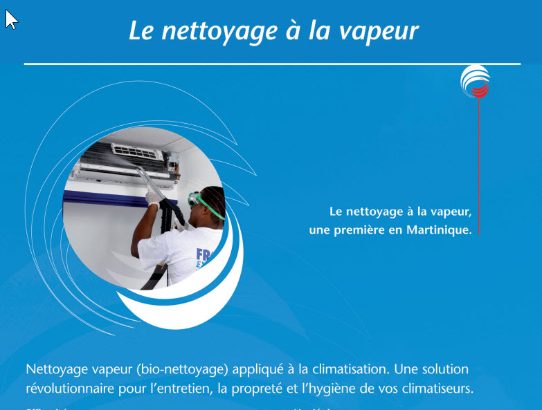 fiche nettoyage vapeur froid express martinique