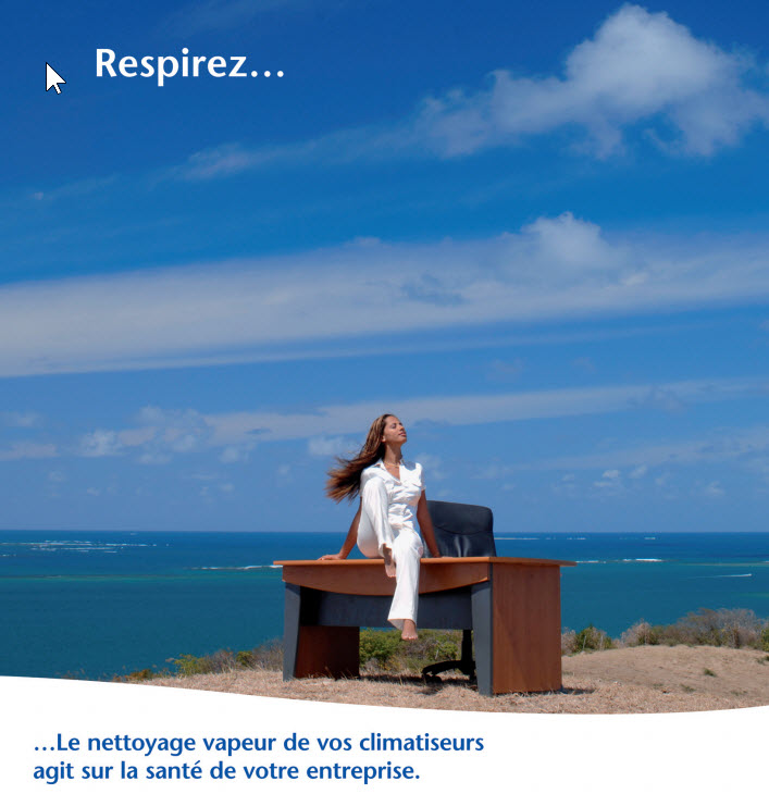 nettoyage vapeur froid express martinique
