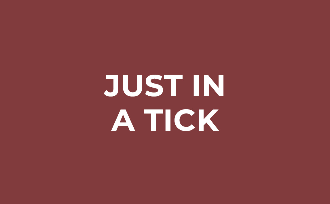 Just In A Tick