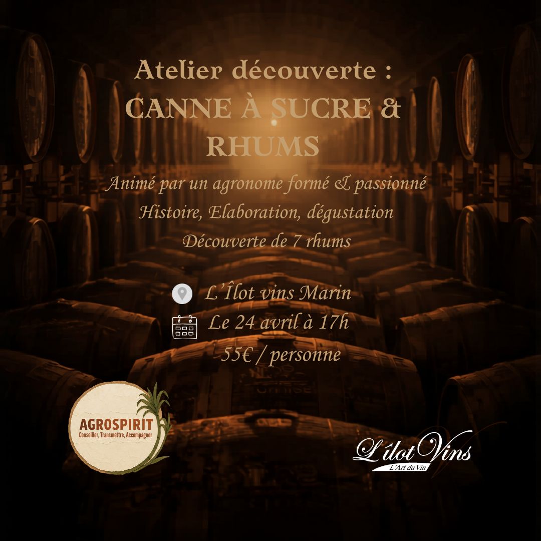 Atelier et dégustation canne à sucre et rhums à L’Îlot Vins Marin