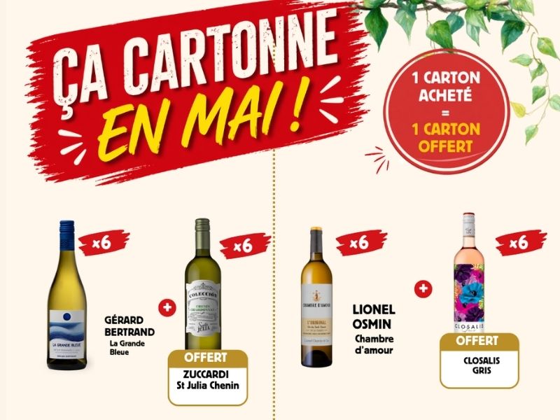 Offre L’Îlot Vins - 1 carton acheté 1 carton offert