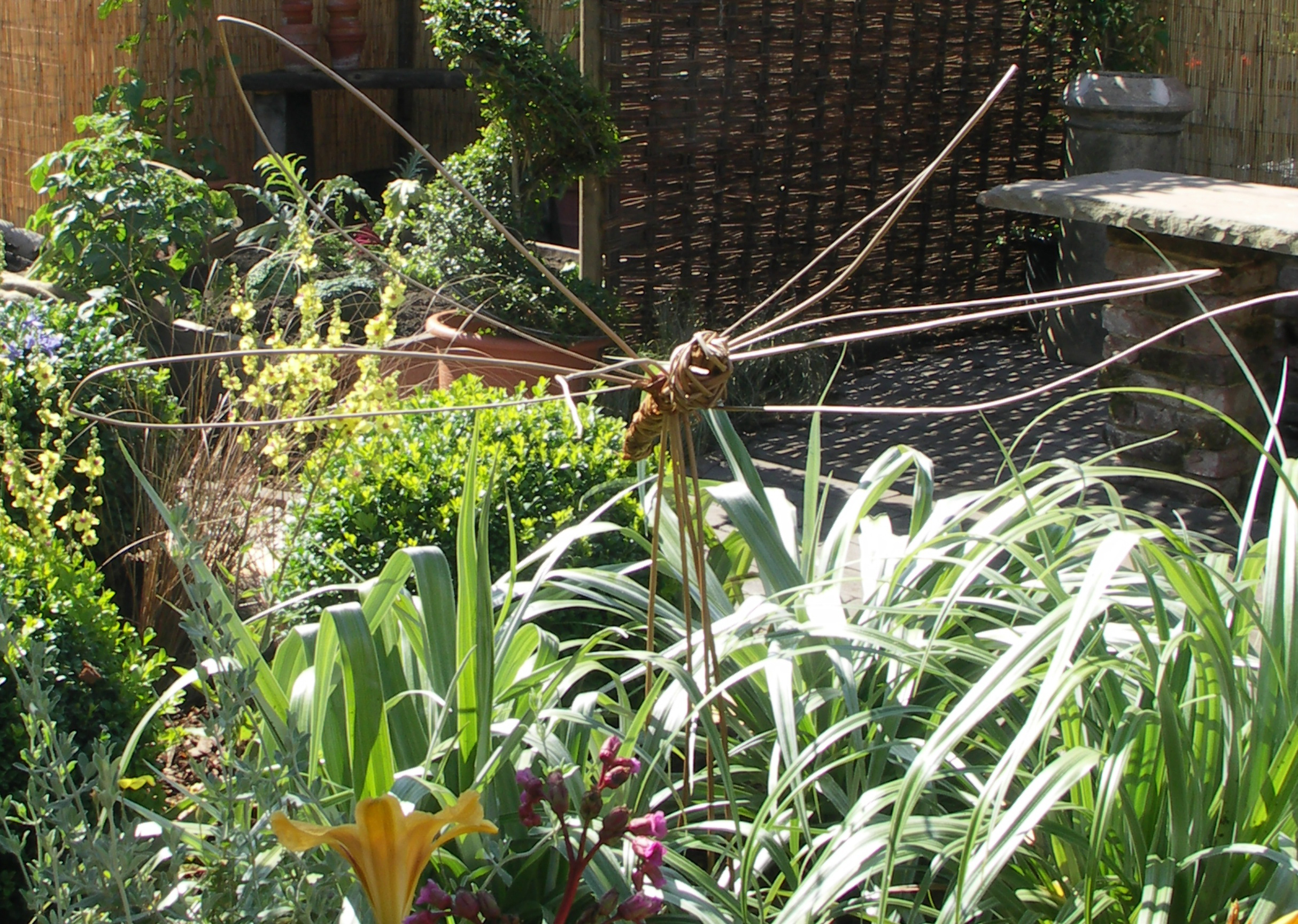 Eco friendly plants in the sunshine