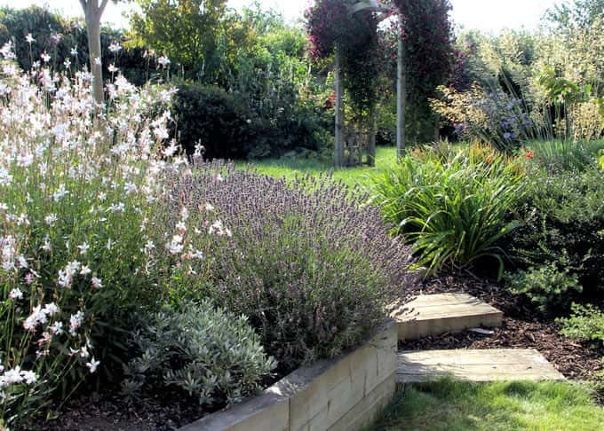 Family friendly garden design 