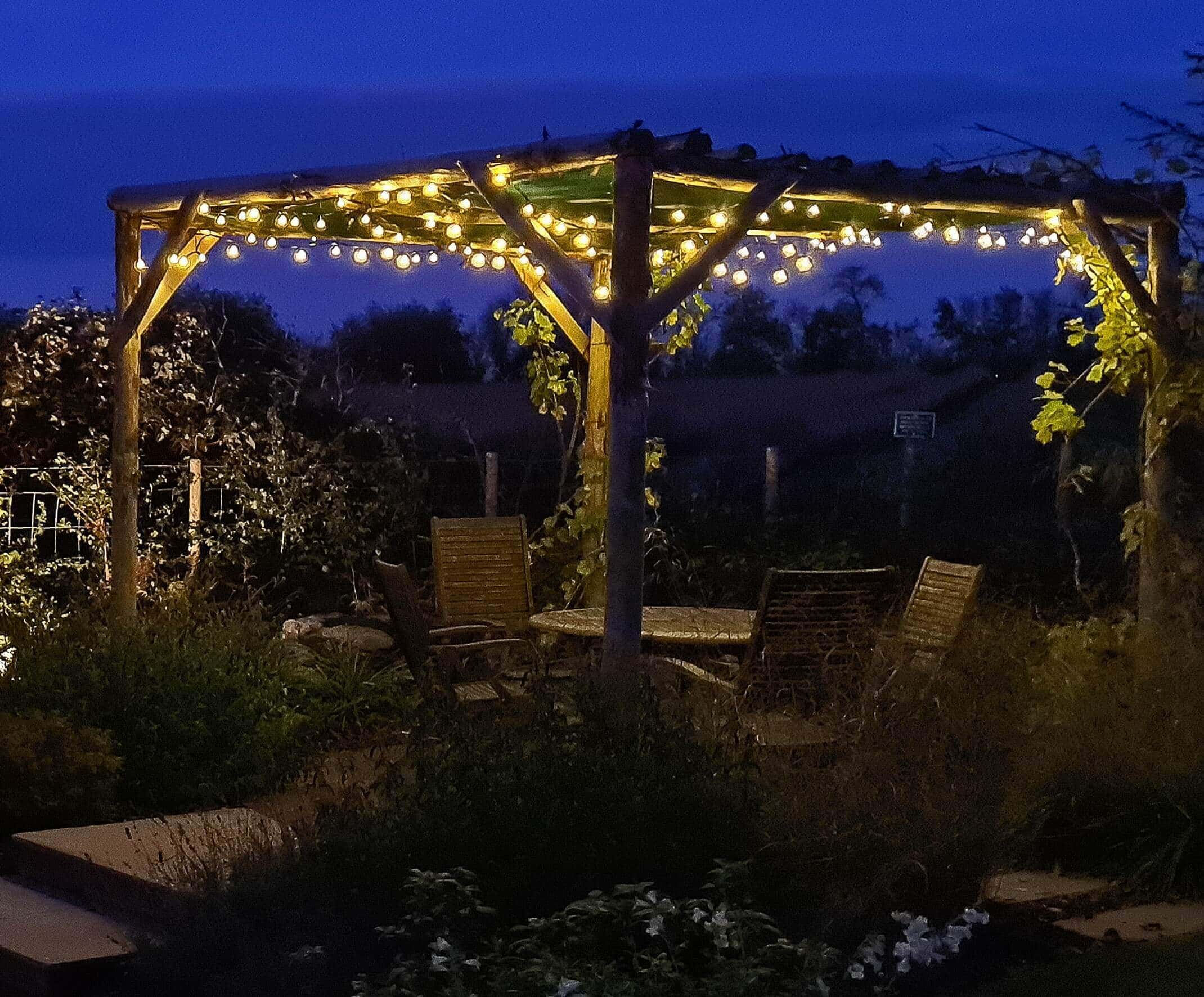 Festoon garden lighting