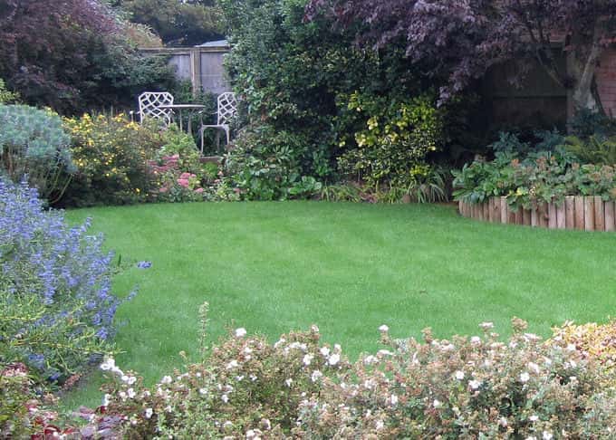 lawns
