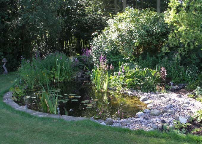 ponds and water features