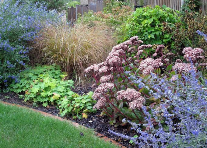 An Informal Garden | Garden Design | Kent