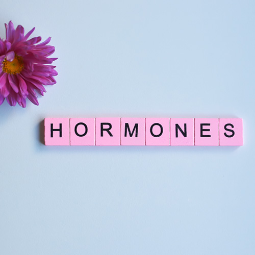 Rebalancing Your Hormones