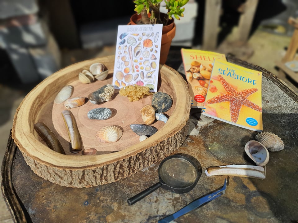 Investigating beach treasures