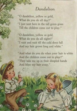 Dandelion Song