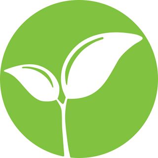 Green Thought Toys logo
