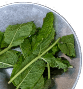 Bowl full of leaves