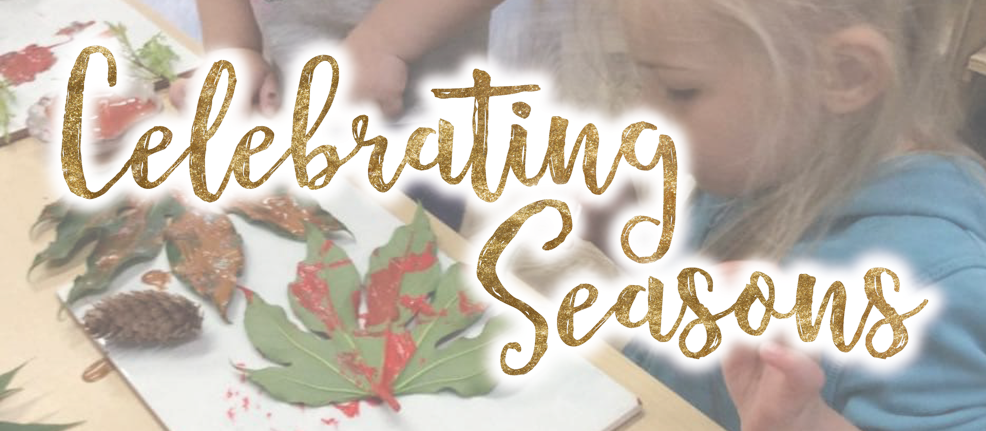 South & East Sussex - Celebrating Seasons - 02/11/2024