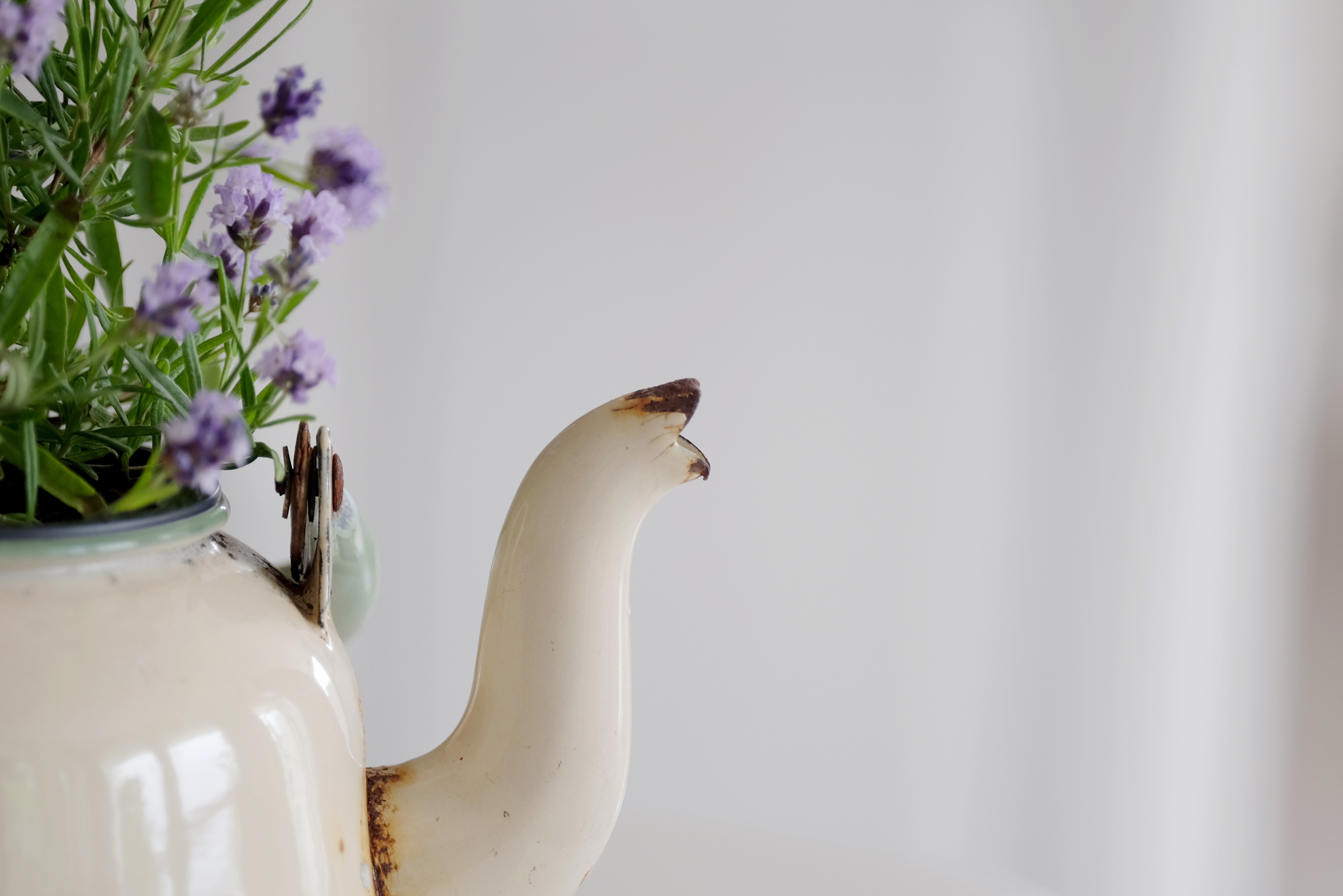 Ceramic or Plastics