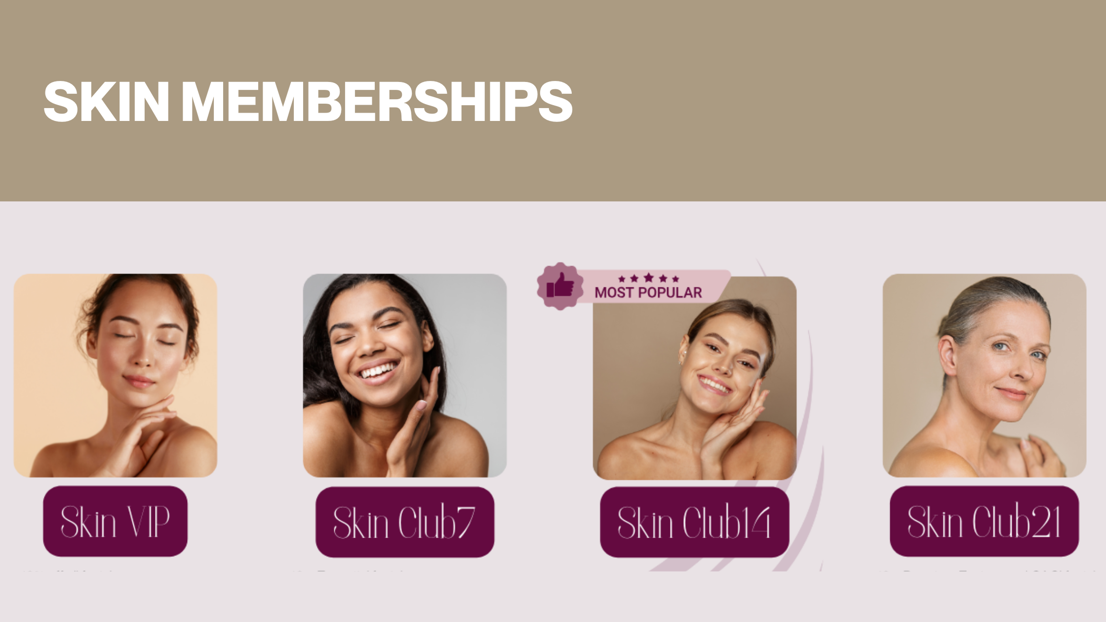 NEW Skin Memberships