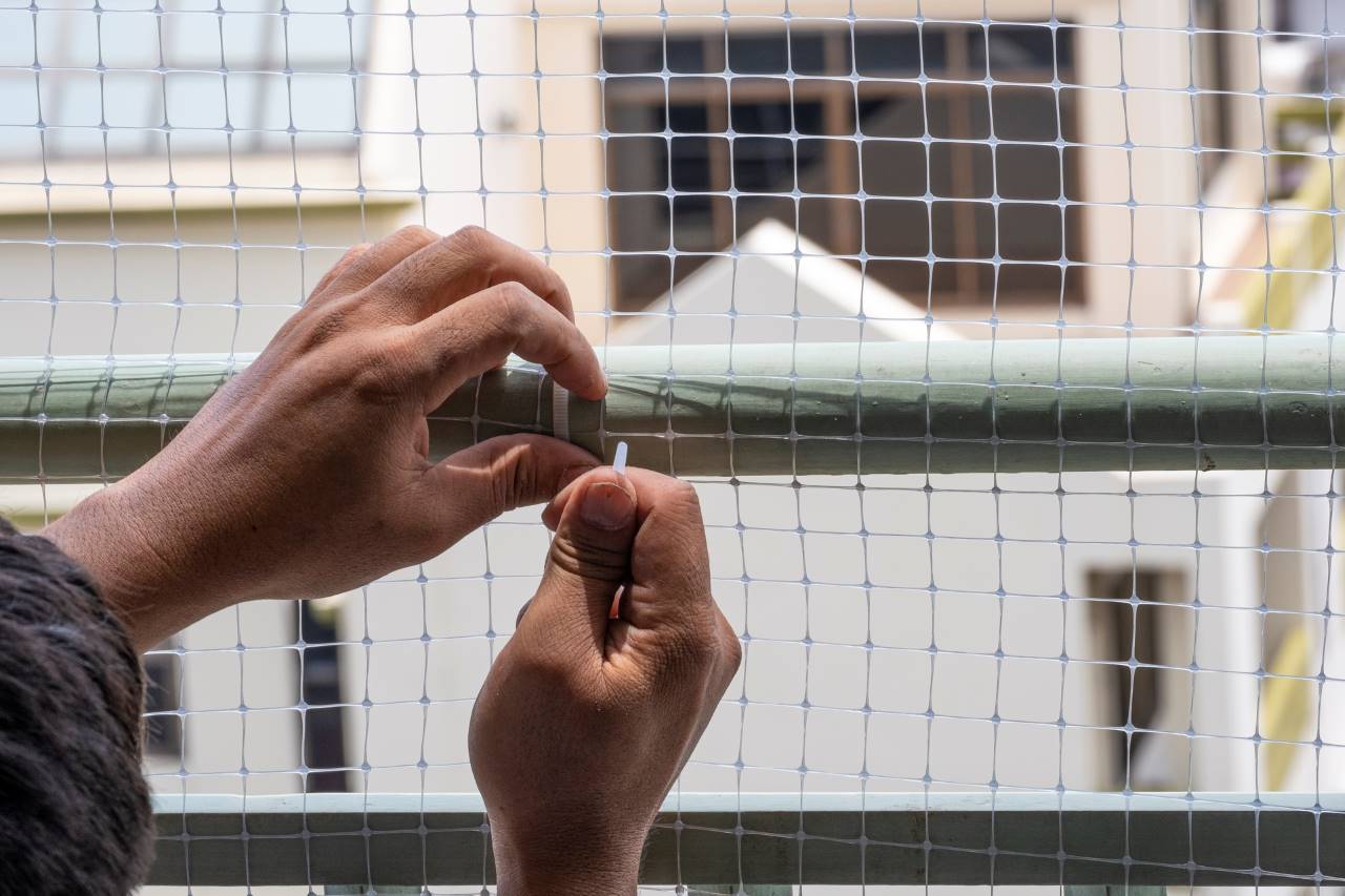 man installing bird net