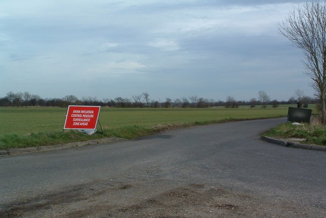 Picture of Town and City Bird Control