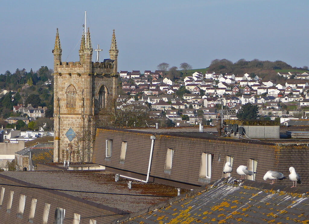 Picture of Town and City Bird Control