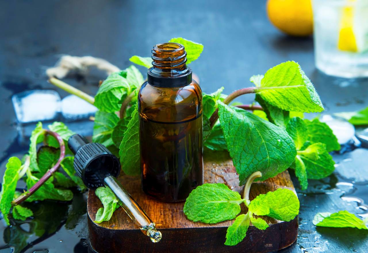 Fresh peppermint leaves with essential oil