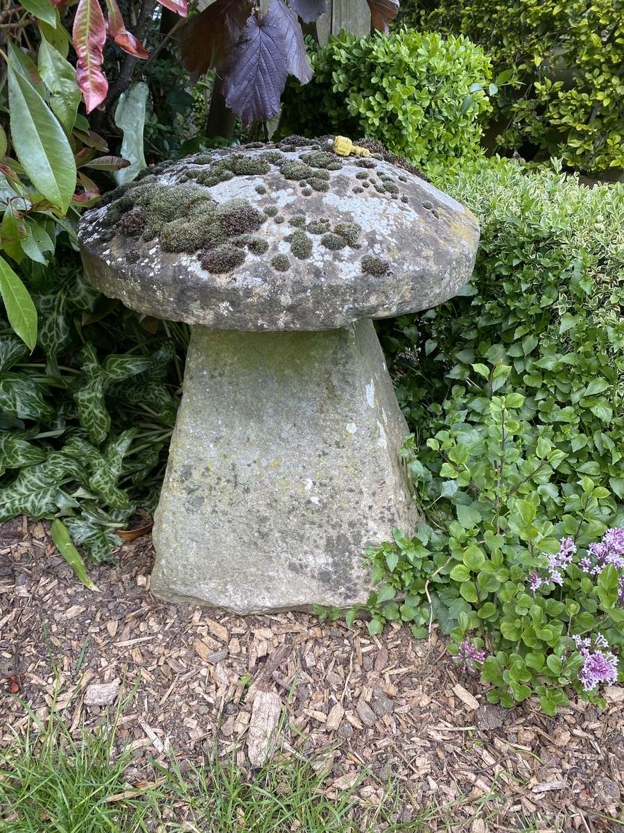 Staddle Stone