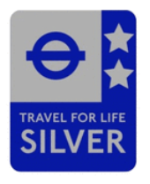 Turtles Travel for life silver