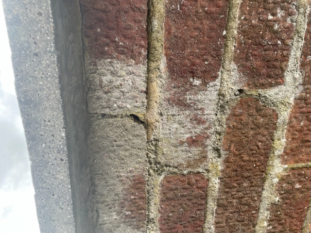 lime leaching under concrete copings