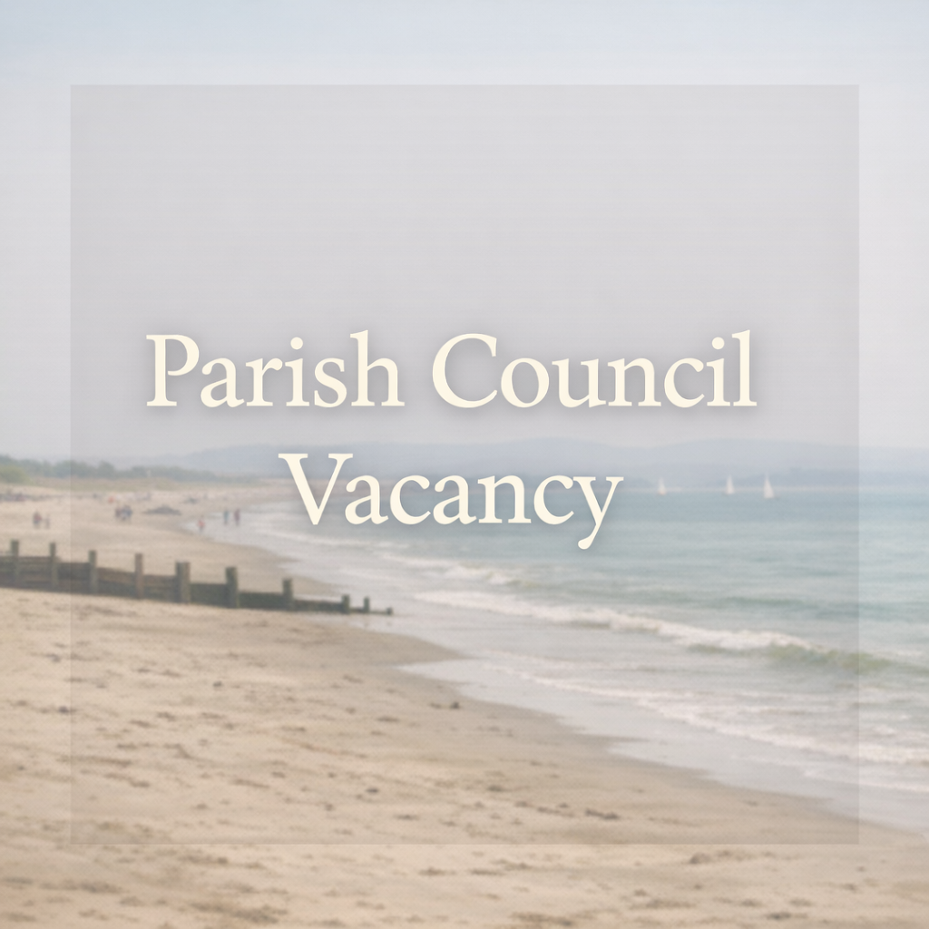 COUNCILLOR VACANCY