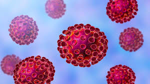 Corona virus