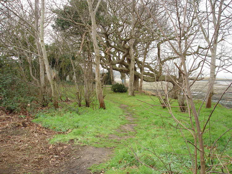 Temporary Footpath Closure