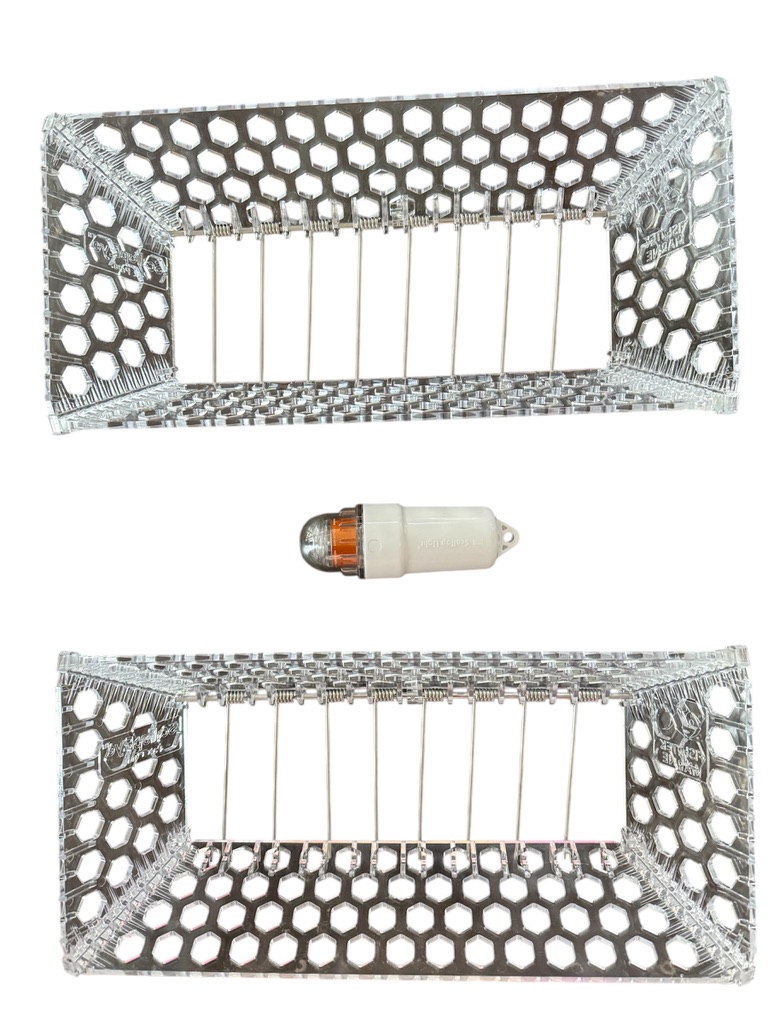 Scallop Accessories