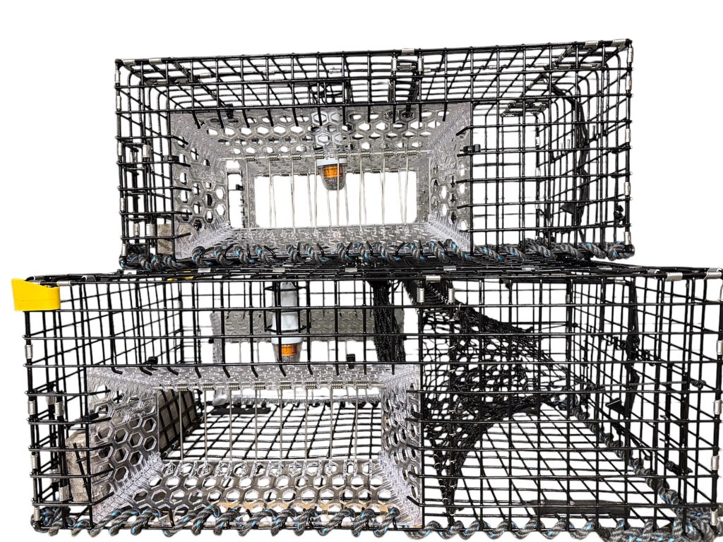 Scallop Traps 