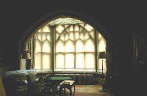Check-Action Traditional Blinds