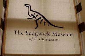 Sedgewick museum 