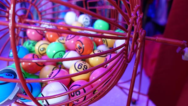 Bingo