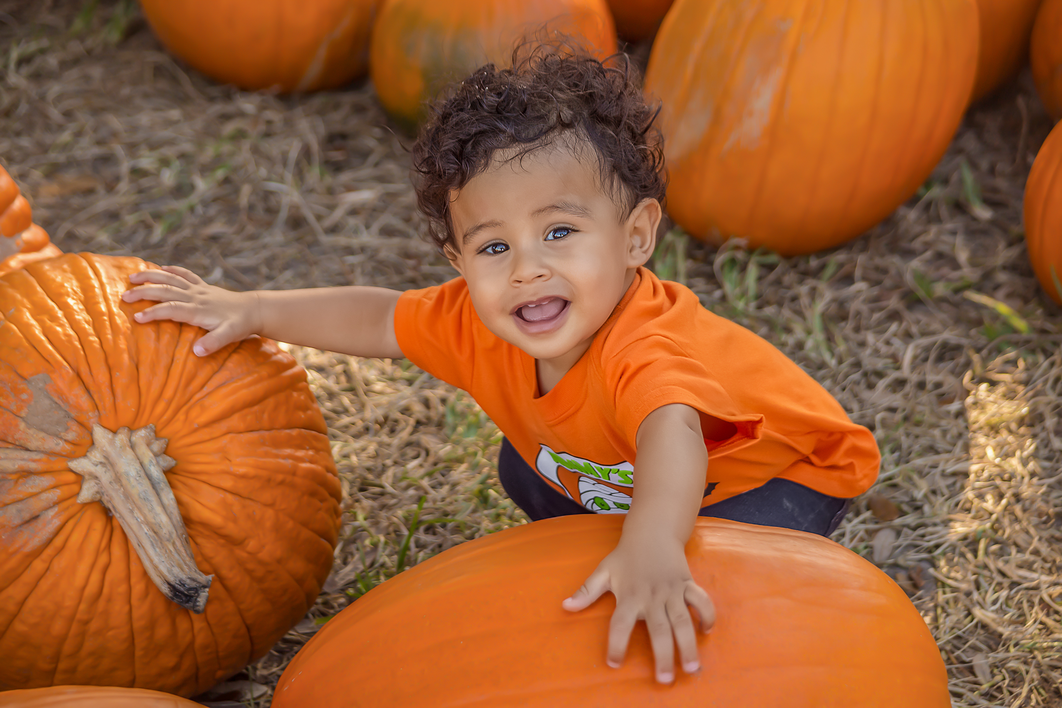 William's Pumpkins