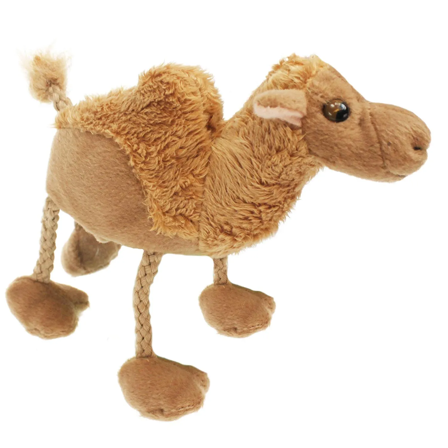 Camel