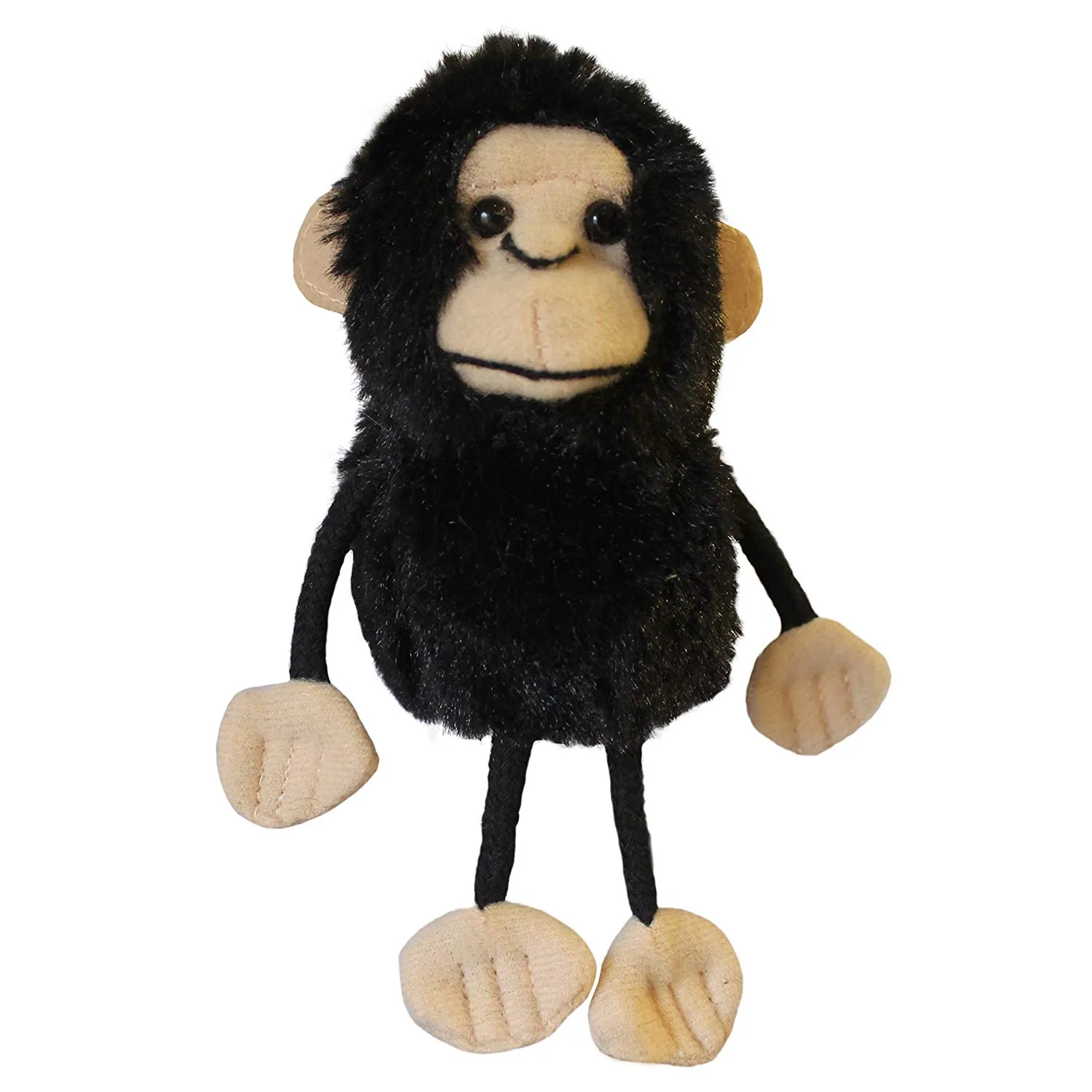 Chimp
