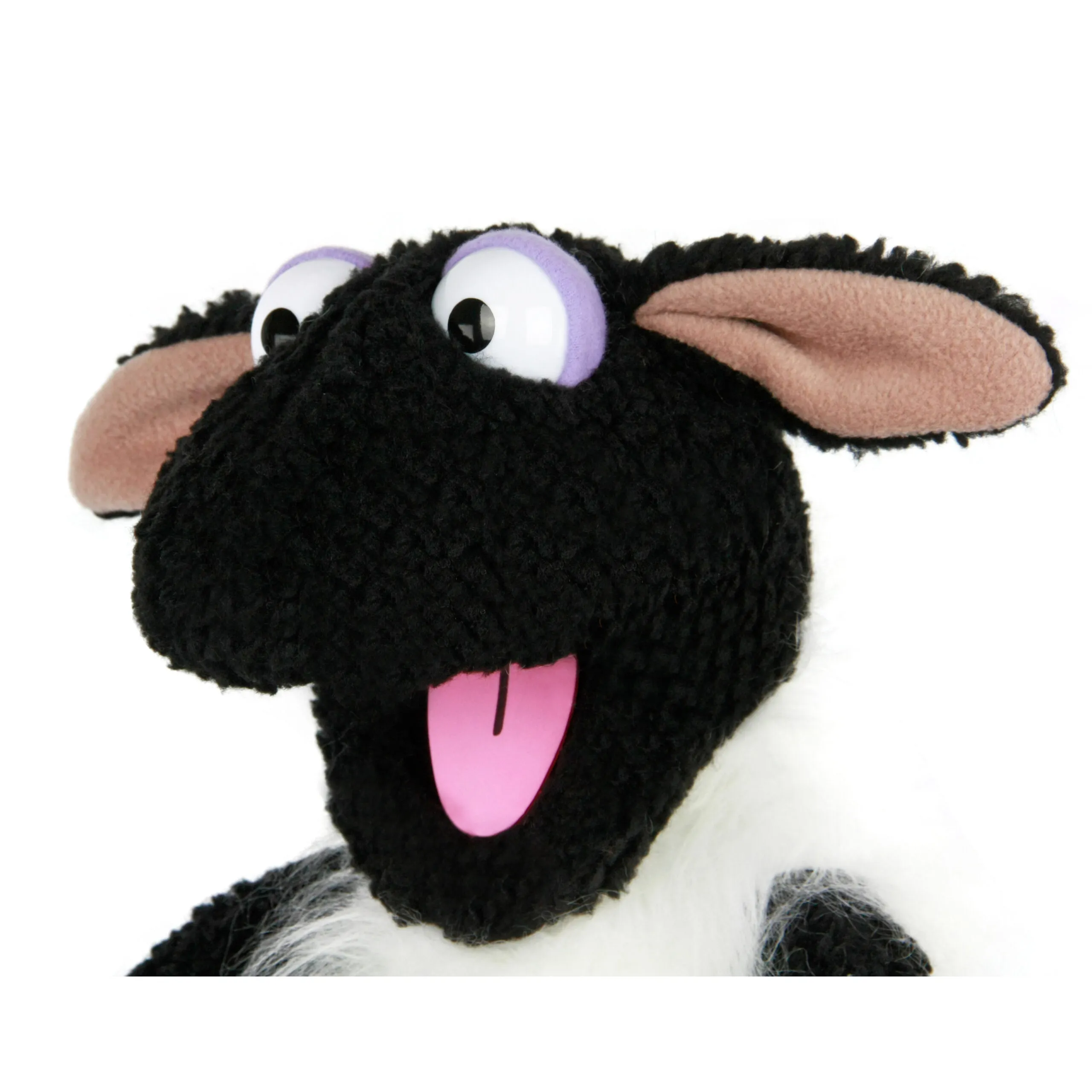 Poplet 6