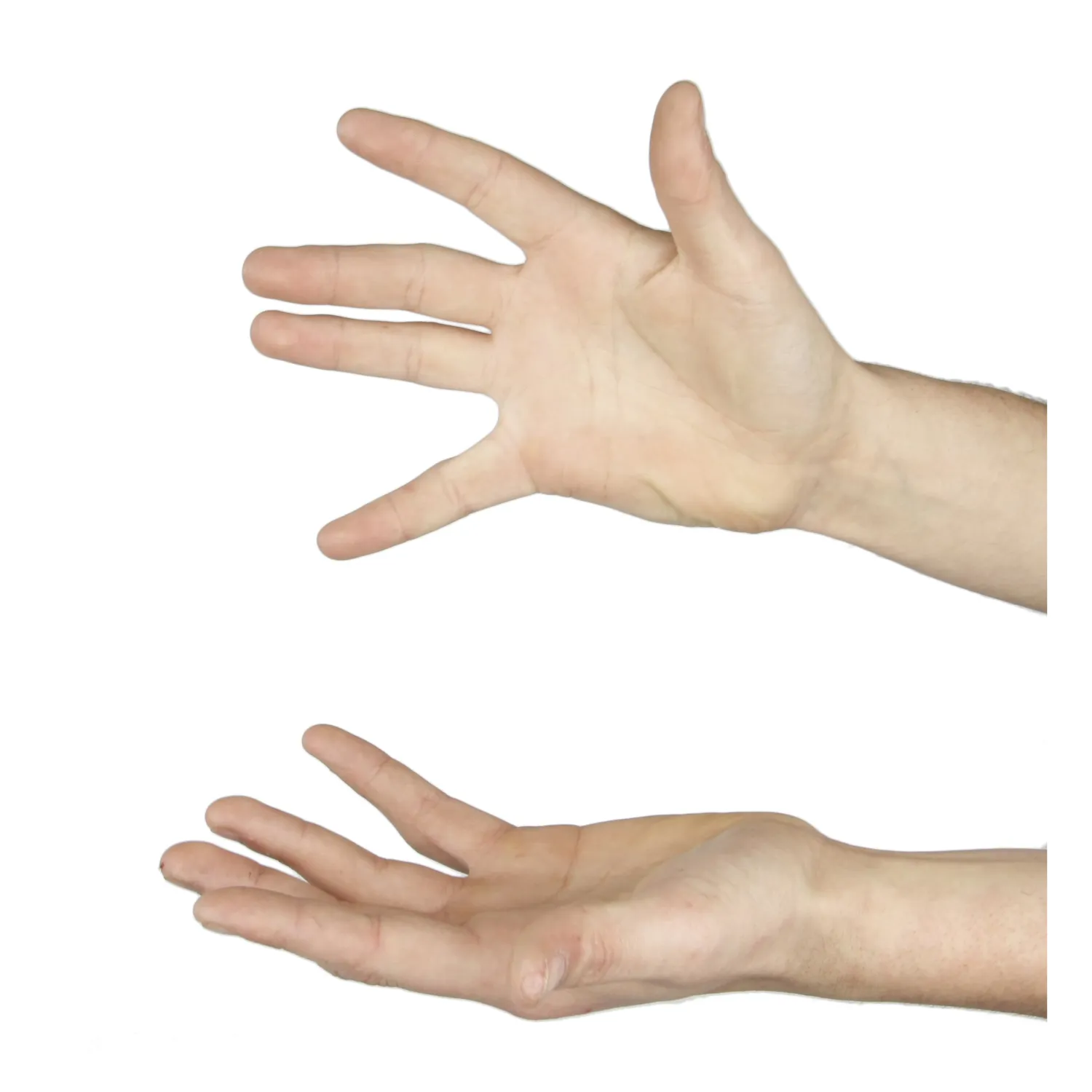 Poplet 4