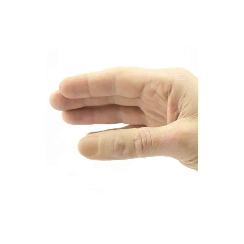 Poplet 2
