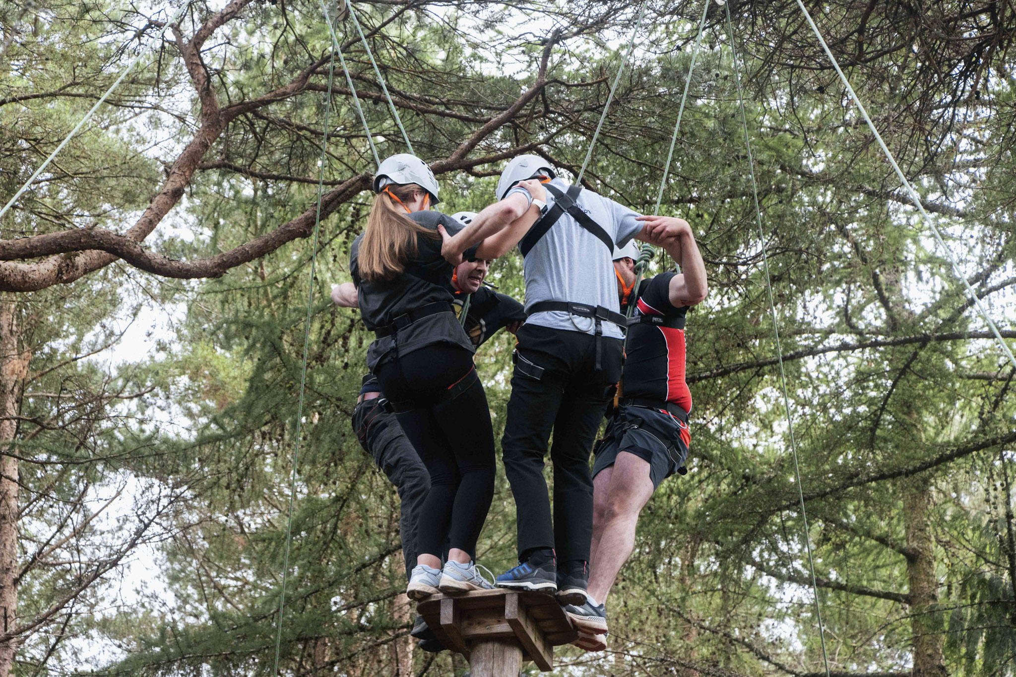 Top 5 Reasons Your Small Team Needs a Day Out