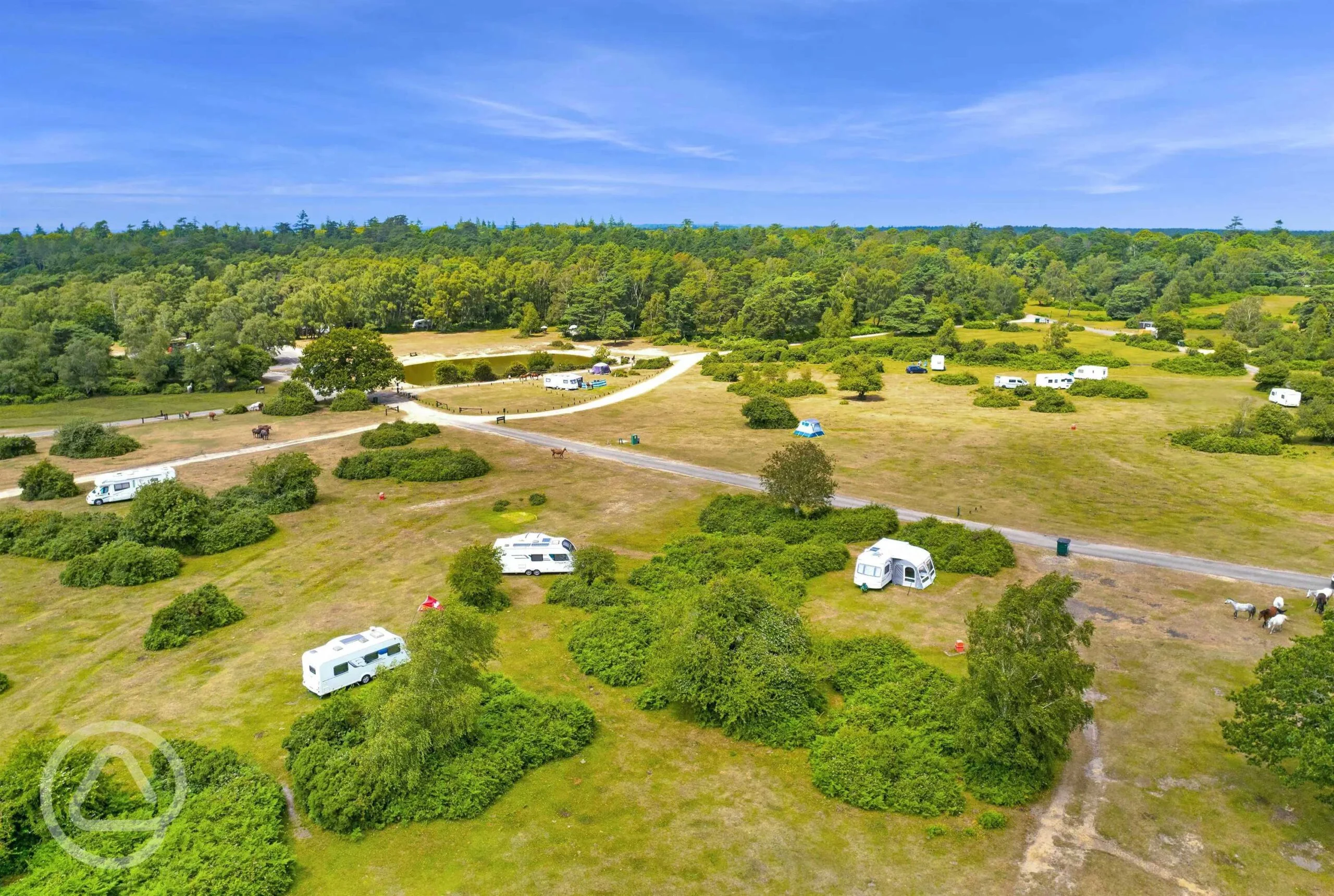 Roundhill Campsite taken by Camping in the New Forest